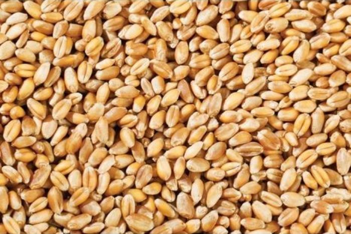 Duru Coarse Bulgur Vermicelli Wheat - 1000 Grams