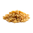 Raw Pine Nuts