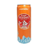 Uludağ Gazoz Orange 330 ml